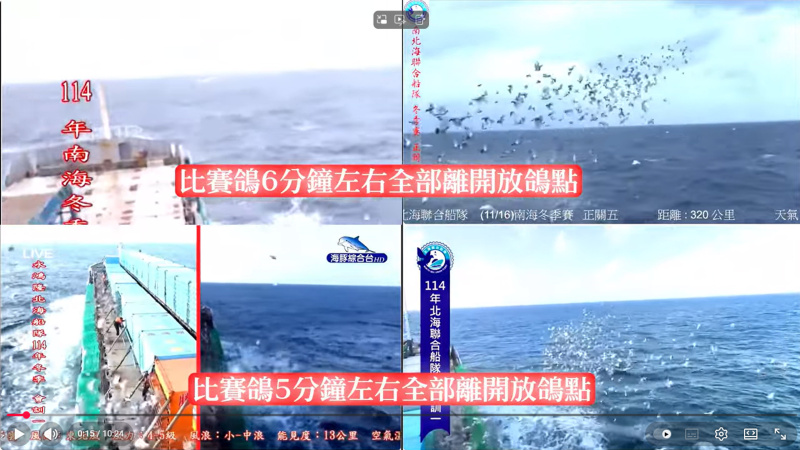 2025年南海冬季競翔【第五關】11/16(日)