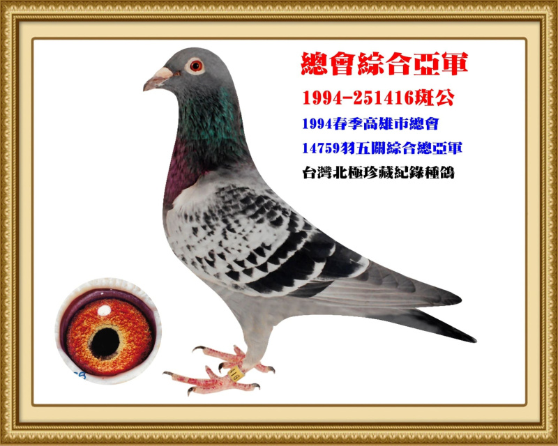總會綜合亞軍 1994-251416斑公