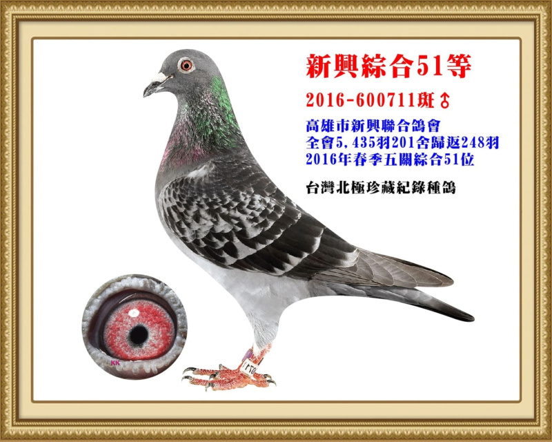 新興綜合51等 2016-600711斑公