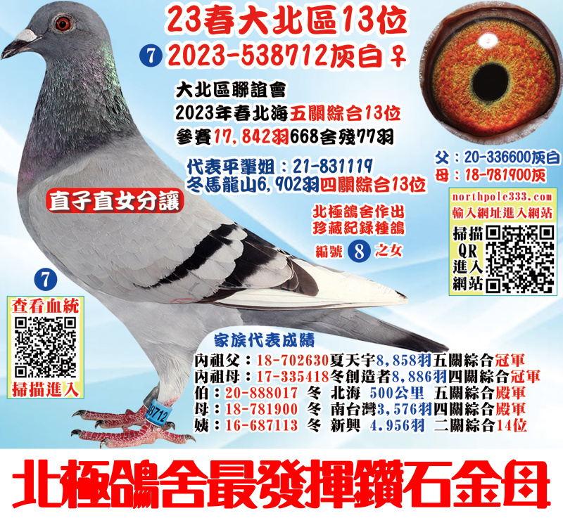 23春大北區7位 2023-538712