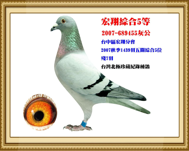 宏翔綜合5等 2007-689455灰公