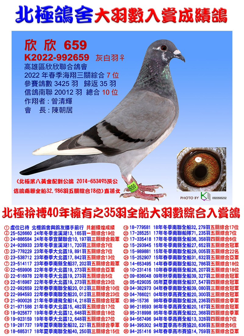 全船20,012羽綜合10位 2022-992659灰白羽母