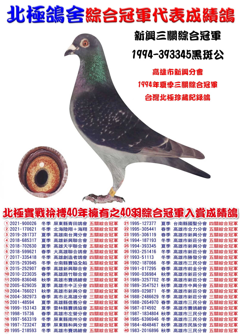 新興三關綜合冠軍 1994-393345黑斑公