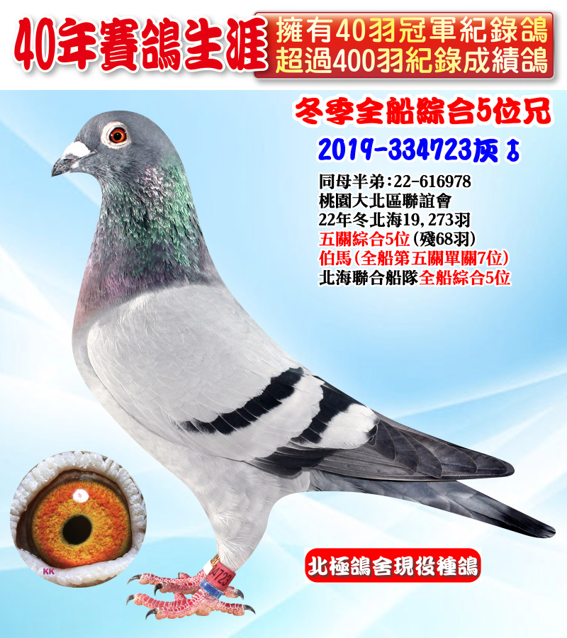 冬季全船綜合5位兄 2019-334723灰♂