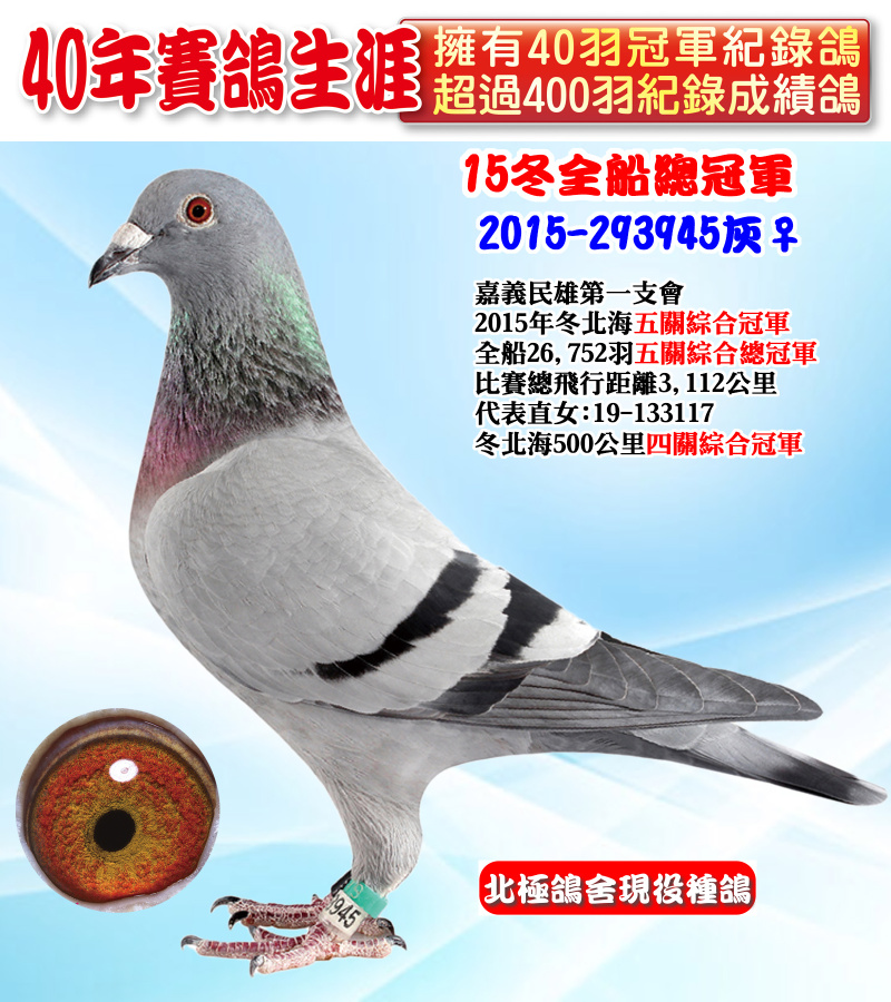 15冬全船總冠軍 2015-293945灰♀