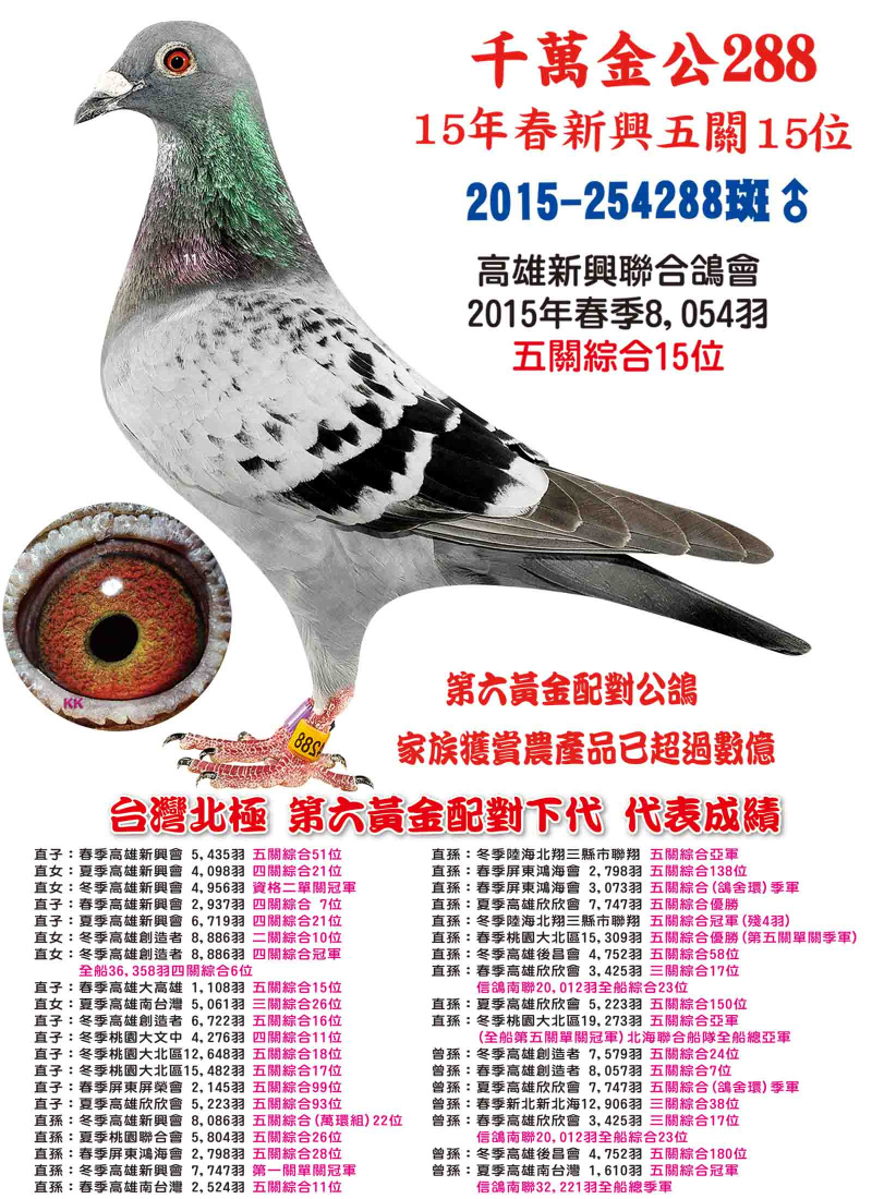 2015-254288斑公 千萬金公288