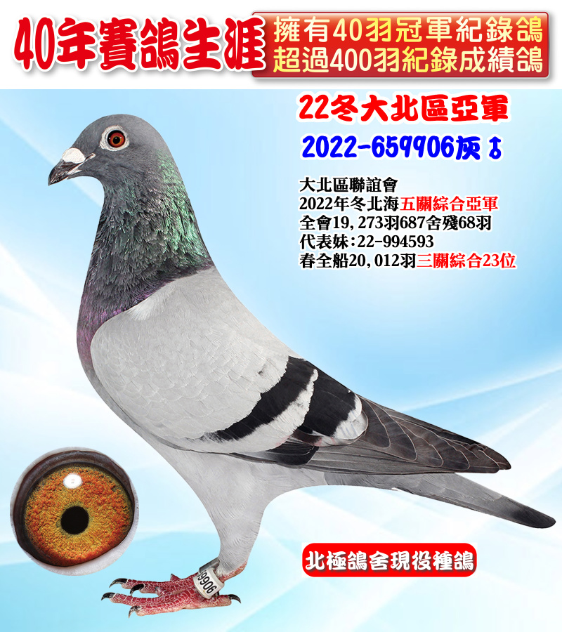 22冬大北區亞軍 2022-659906灰♂
