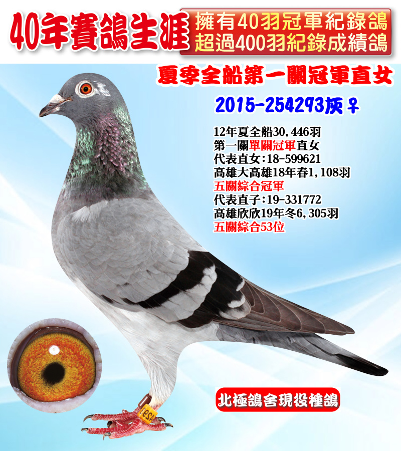 夏季全船第一關冠軍直女 2015-254293灰♀