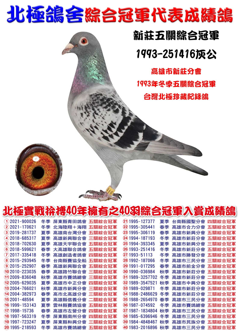 新莊五關綜合冠軍 1993-251416灰公