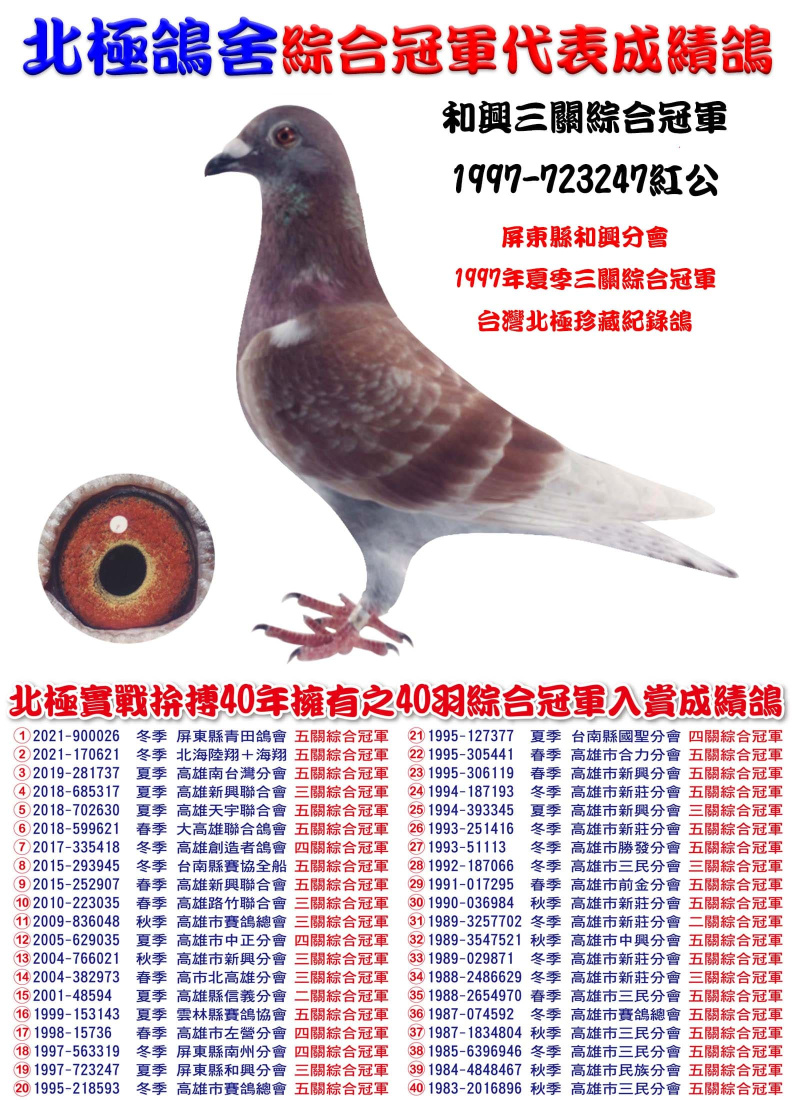 和興三關綜合冠軍 1997-723247紅公