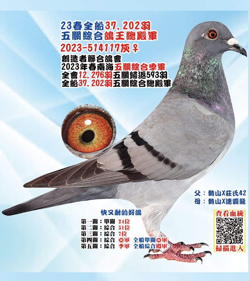 23春全船37,202羽五關綜合鴿王總殿軍