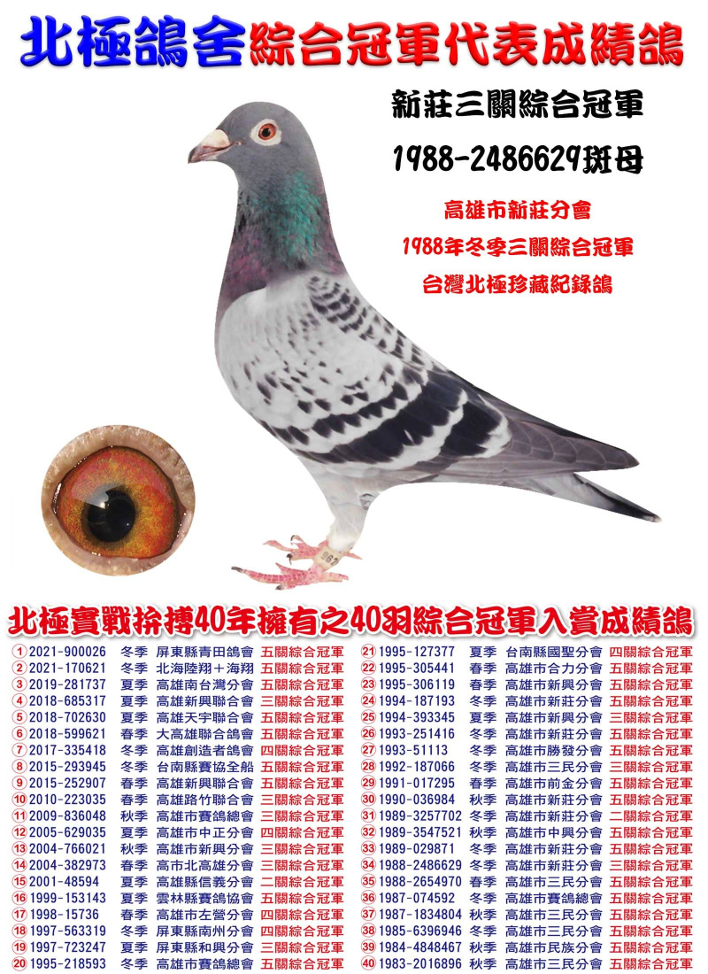新莊三關綜合冠軍 1988-2486629斑母