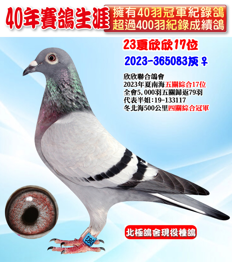 23夏欣欣17位 2023-365083灰♀
