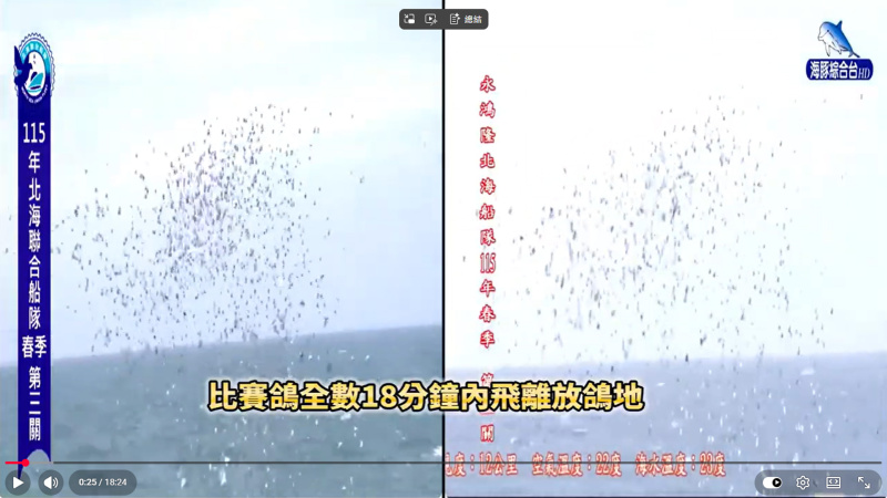 2026年北海春季競翔第三關