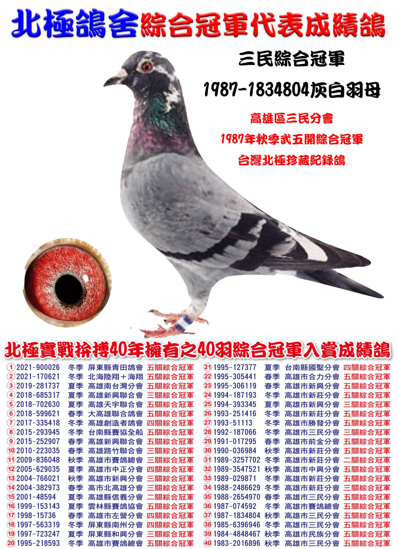 三民綜合冠軍 1987-1834804灰白羽母