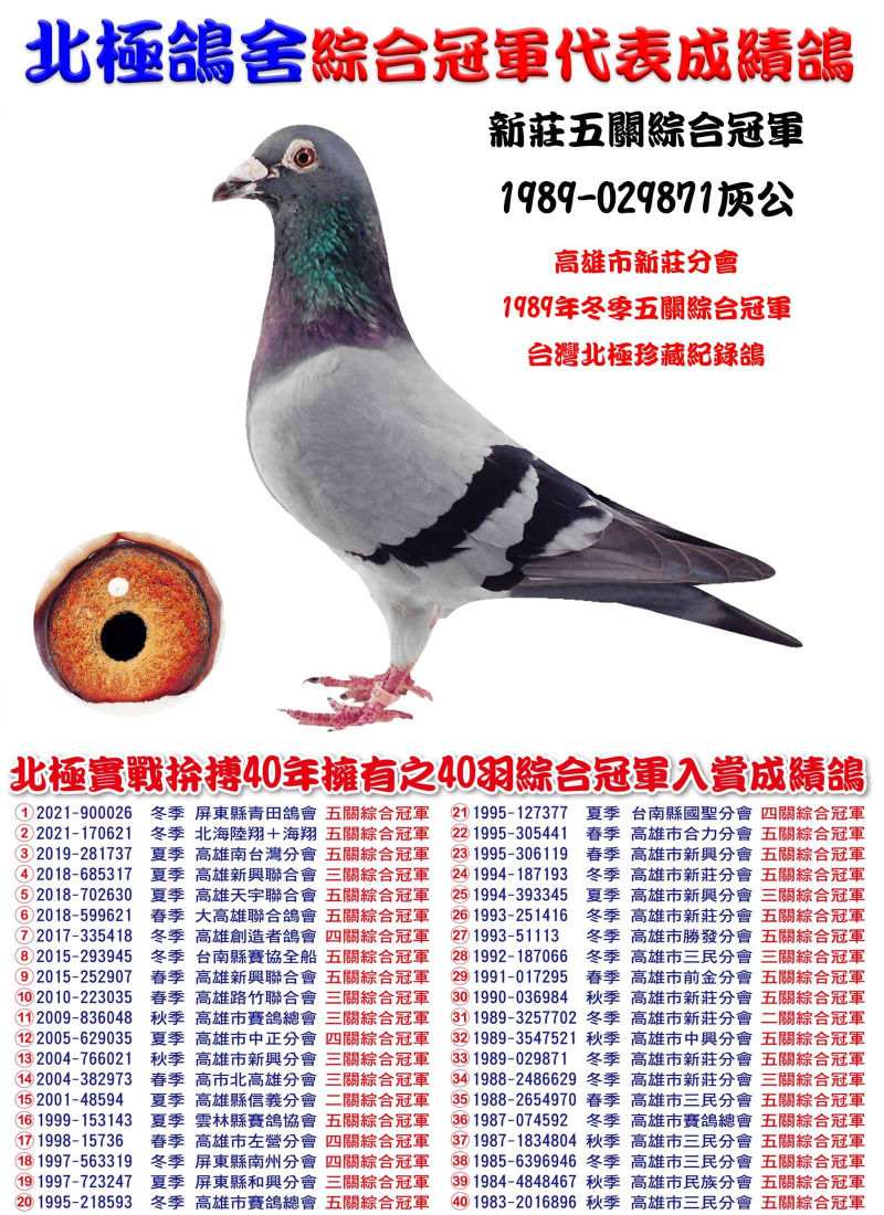 新莊五關綜合冠軍 1989-029871灰公