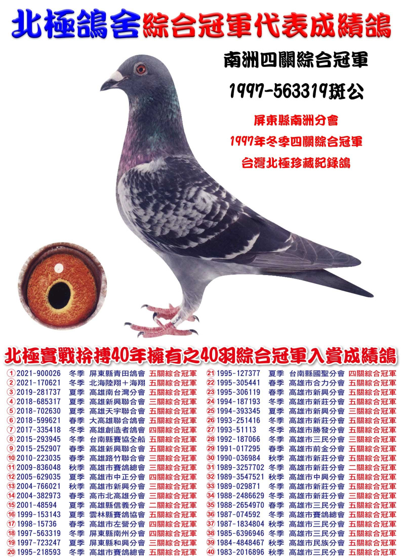 南洲四關綜合冠軍 1997-563319斑公