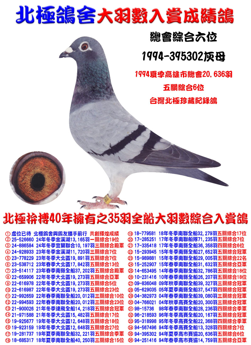 全船20,636羽五關綜合6位 1994-395302灰母