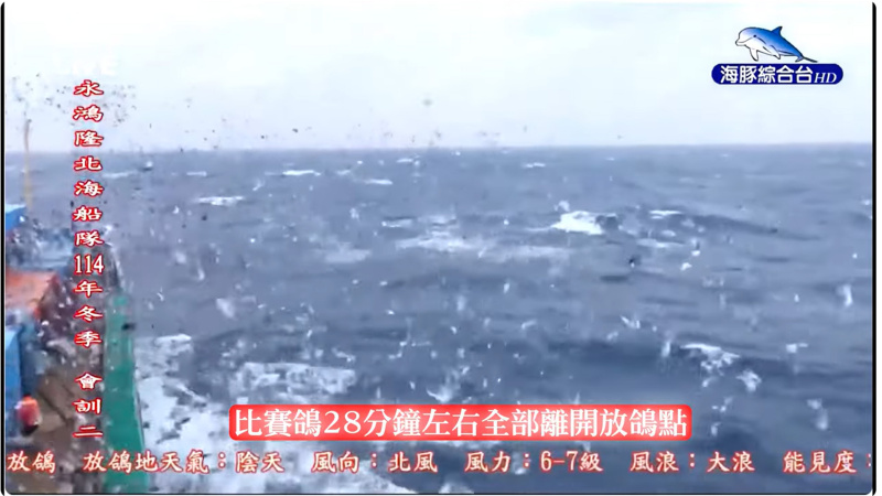 2025年北海冬季競翔【會訓二】【中海資格三】11/19(三)