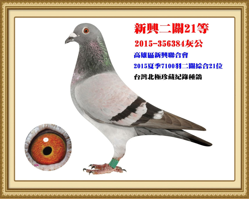 新興二關21等 2015-356384灰公