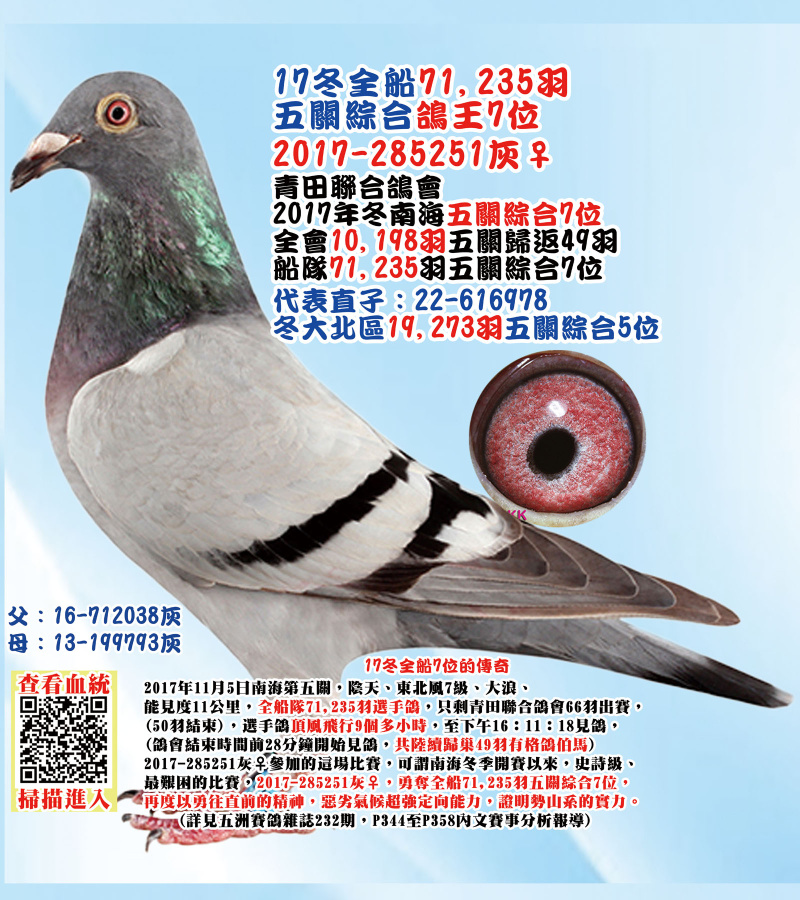 17冬全船71,235羽五關綜合鴿王7位