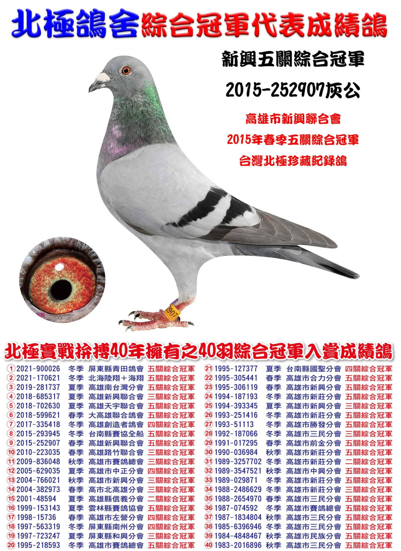 新興五關綜合冠軍 2015-252907灰公
