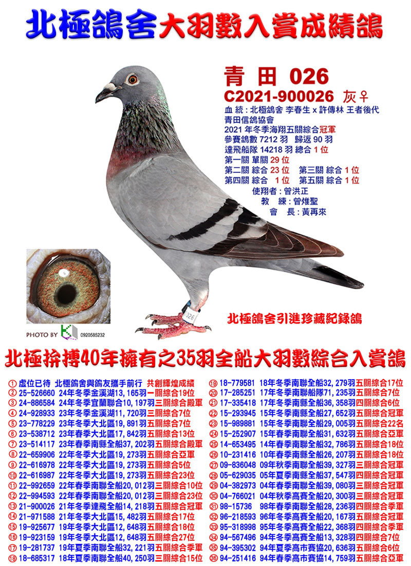 全船14,218羽綜合冠軍 2021-900026灰母