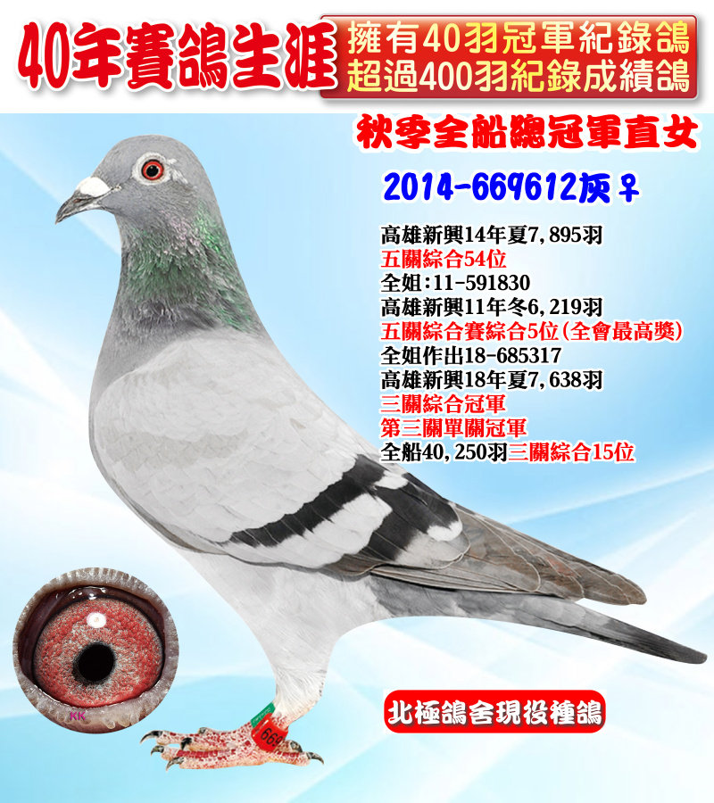 秋季全船總冠軍直女 2014-669612灰♀