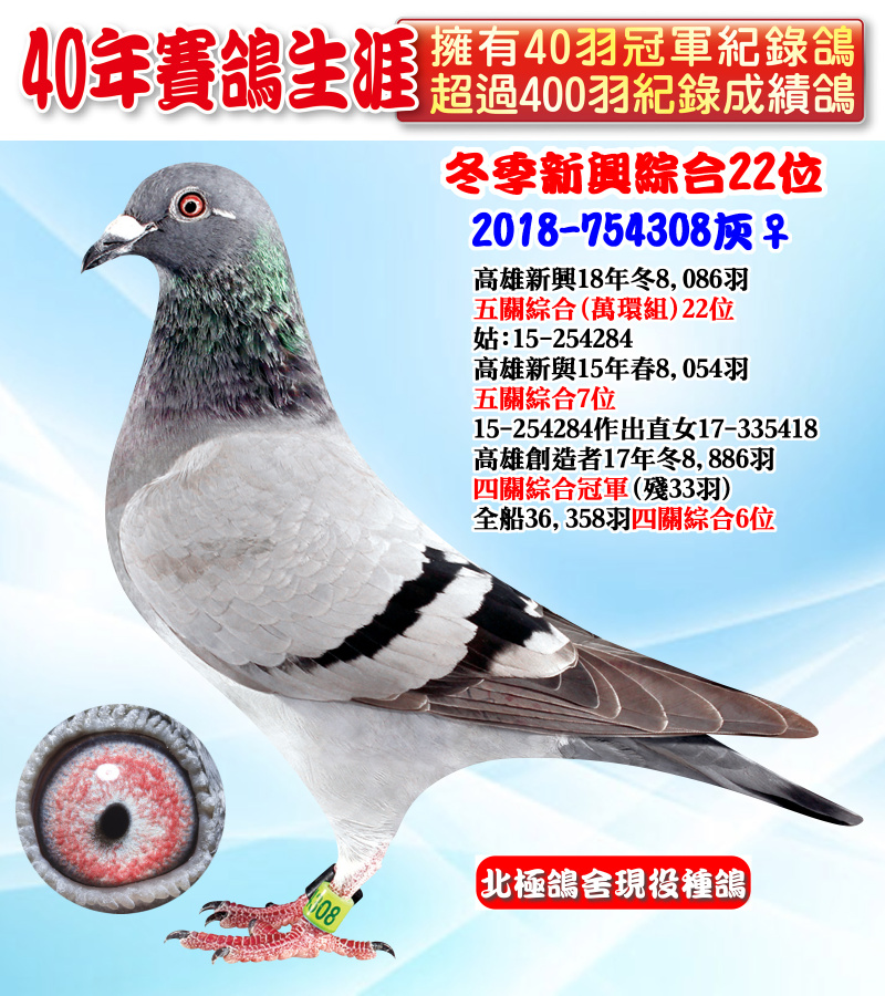 冬季新興綜合22位 2018-754308灰♀