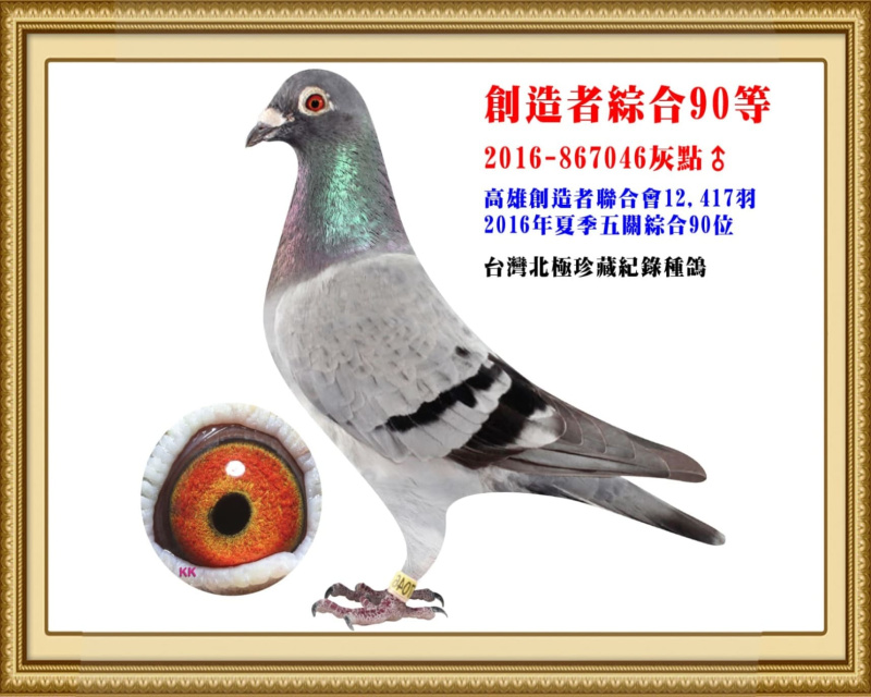 創造者綜合90等 2016-867046灰點公