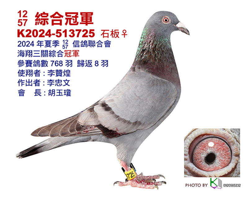 2024年南海夏季1257聯合會三關綜合入賞鴿照-資料出處:Taiwan KK賽鴿網