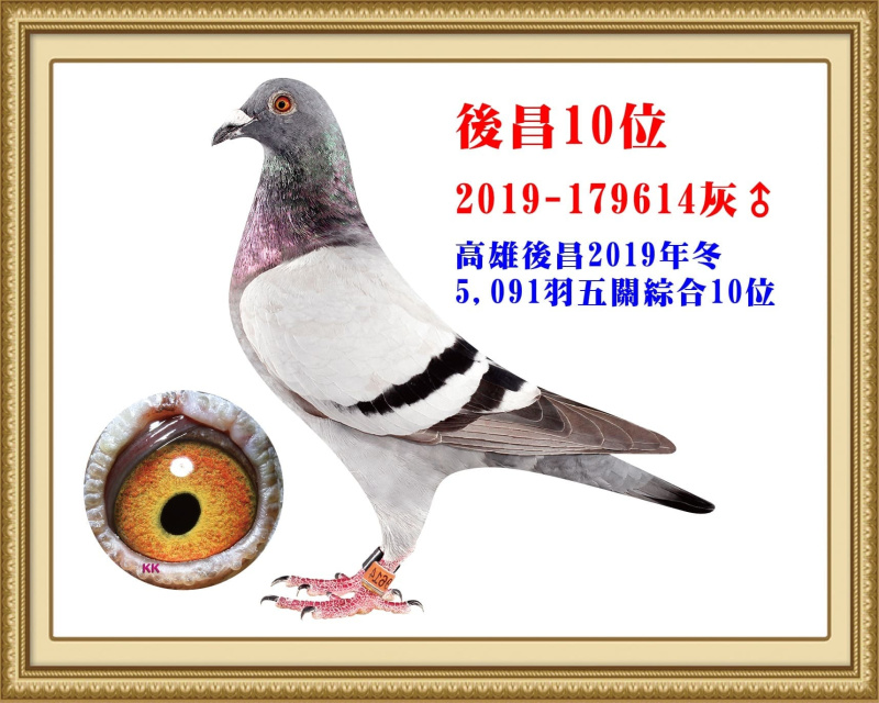 後昌10位 2019-179614灰公