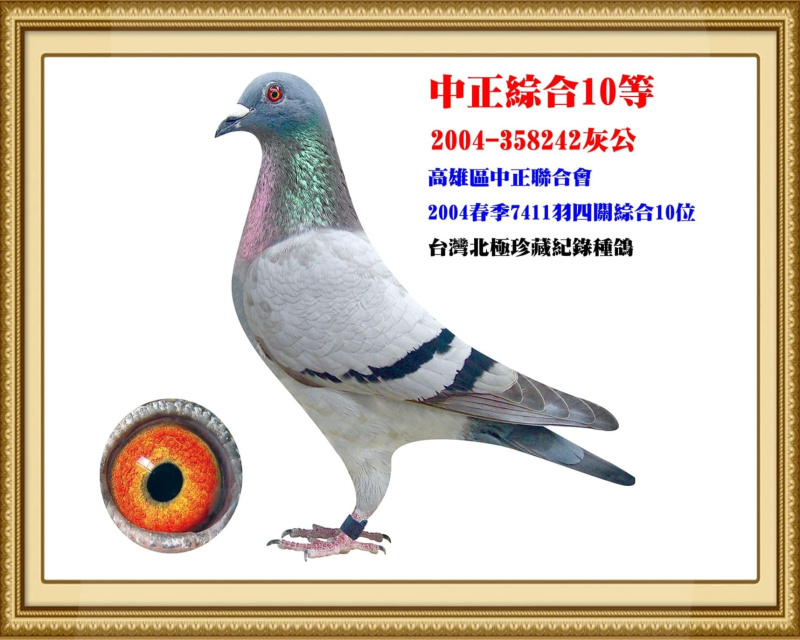中正綜合10等 2004-358242灰公