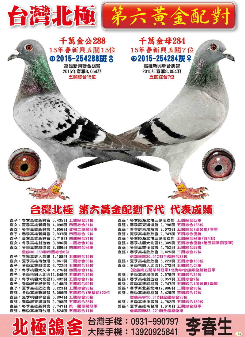 第六黃金配對