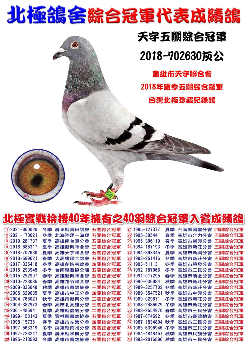 天宇五關綜合冠軍 2018-702630灰公