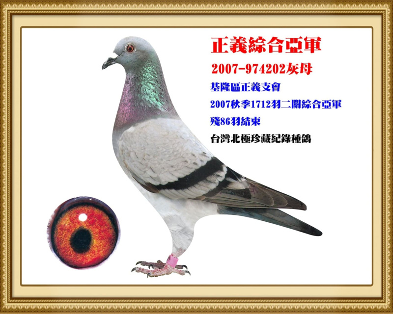 正義綜合亞軍 2007-974202灰母