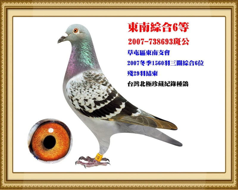 東南綜合6等 2007-738693斑公