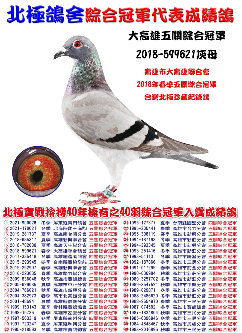 大高雄五關綜合冠軍 2018-599621灰母
