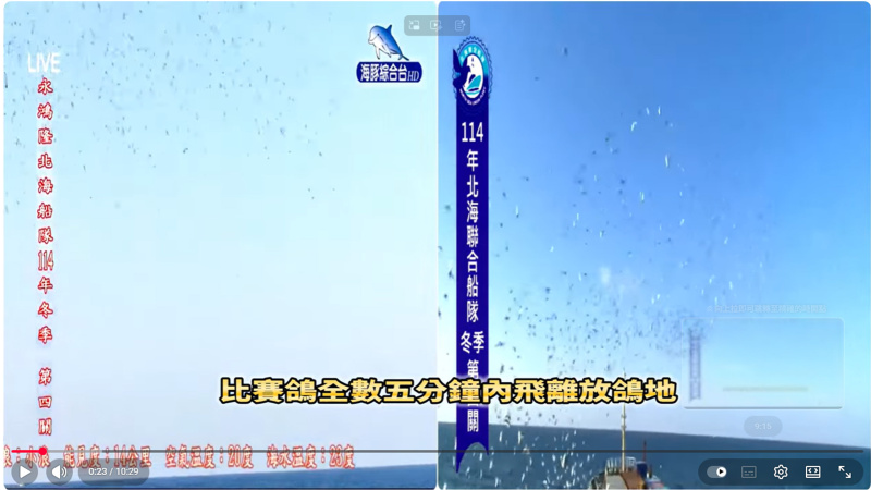 2025年北海冬季競翔【第四關】【中海正五關】12/07(日)7:30分放鴿