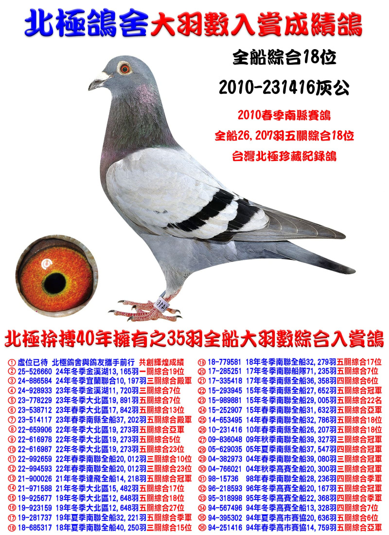 全船26,207羽五關綜合18位 2010-231416灰公