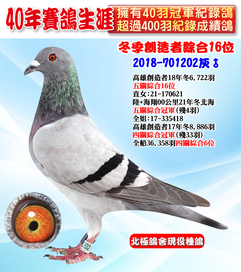 冬季創造者綜合16位 2018-701202灰♂