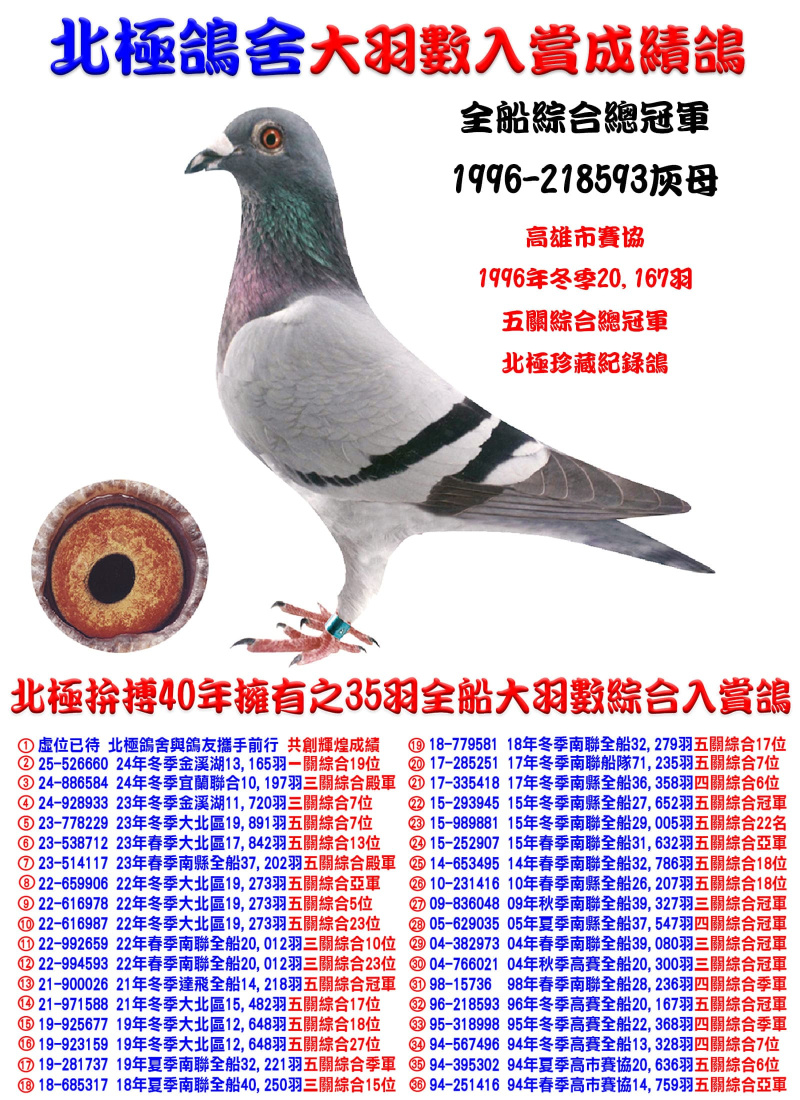 全船20,167羽五關綜合總冠軍 1996-218593灰母