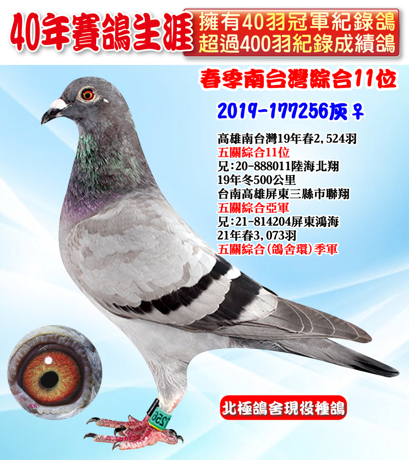春季南台灣綜合11位 2019-177256灰♀