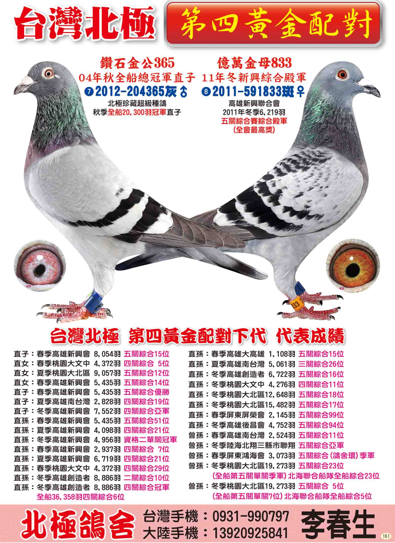 第四黃金配對