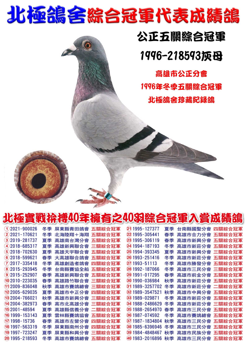 公正五關綜合冠軍 1996-218593灰母