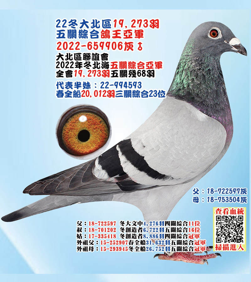 22冬大北區19,273羽五關綜合鴿王亞軍