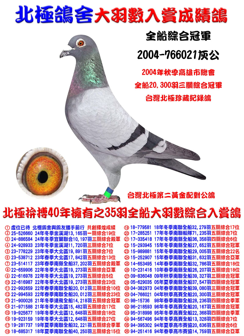 全船20,300羽三關綜合冠軍 2004-766021灰公
