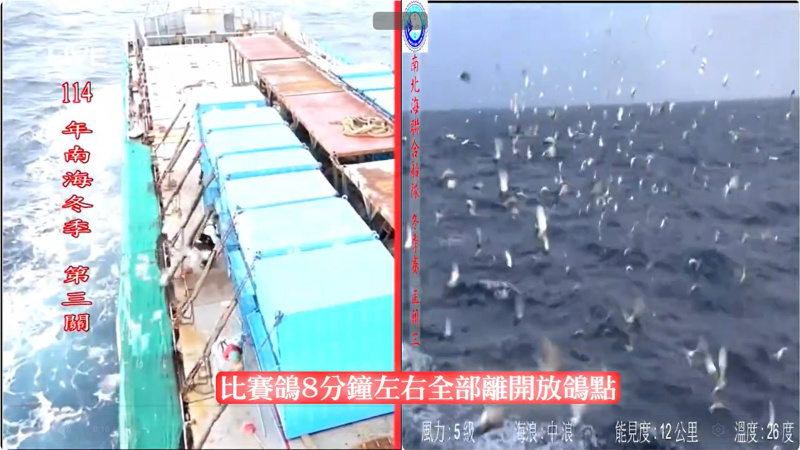 [南海冬季競翔]2025年11/02(日) 第三關