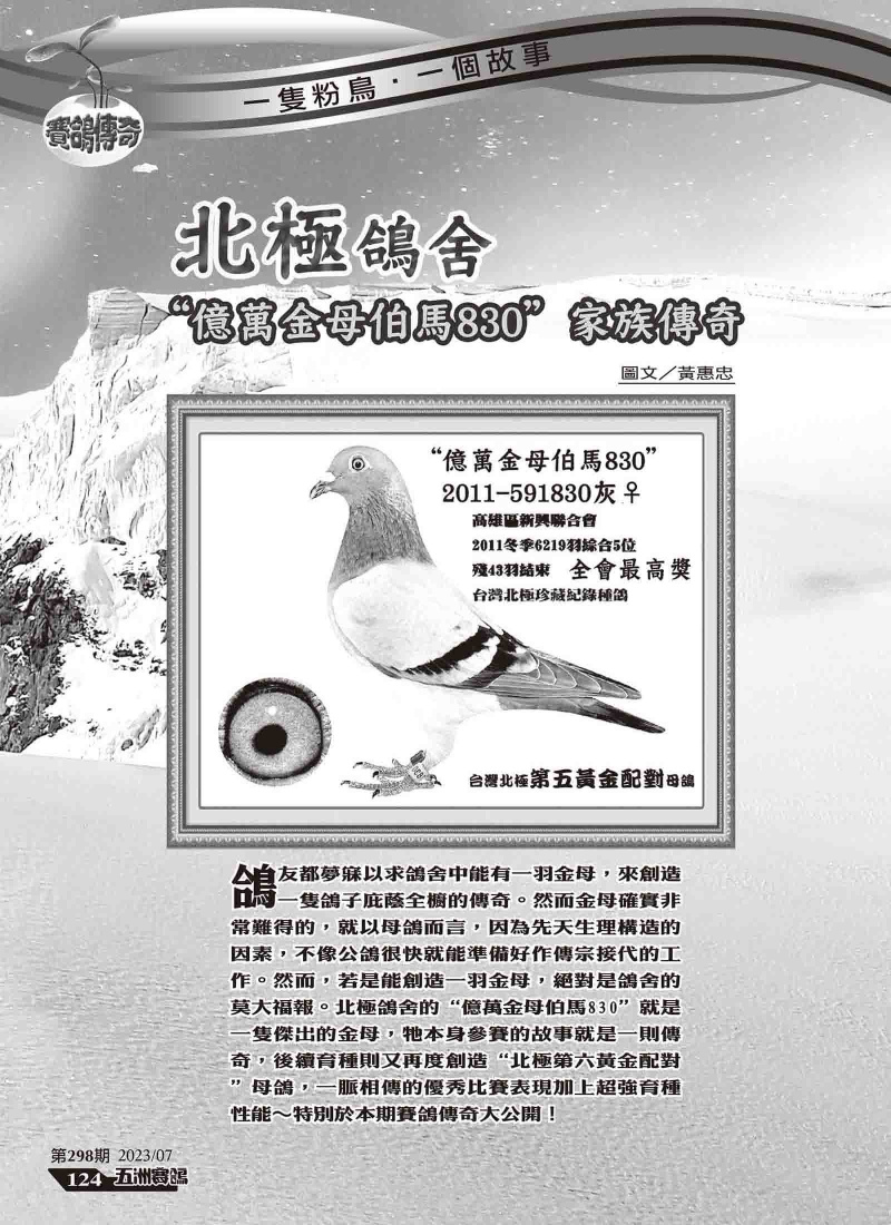 北極鴿舍“億萬金母伯馬830" 家族傳奇-五洲賽鴿298期