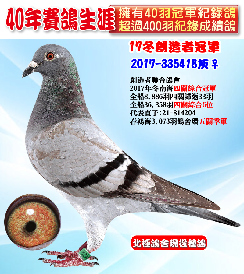 17冬創造者冠軍 2017-335418灰♀